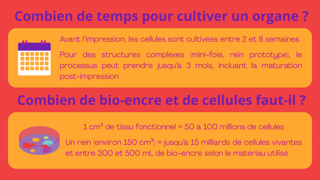 Infog web